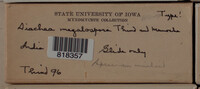 Image Associated With the Occurence